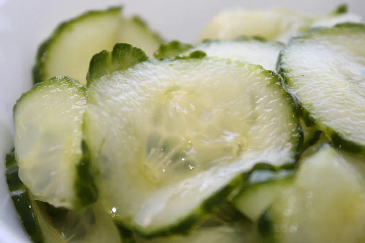 Agurksalat