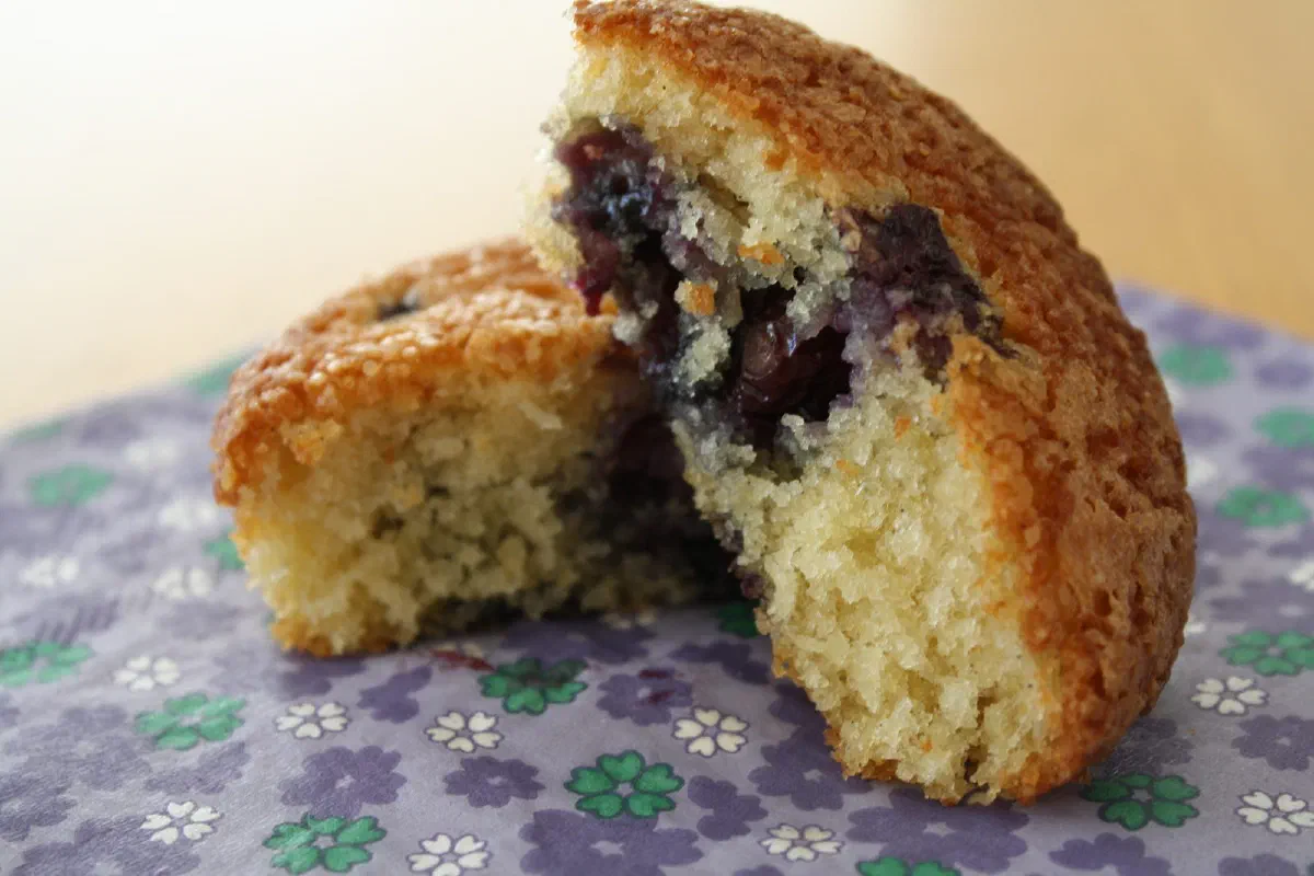 Blåbærmuffins