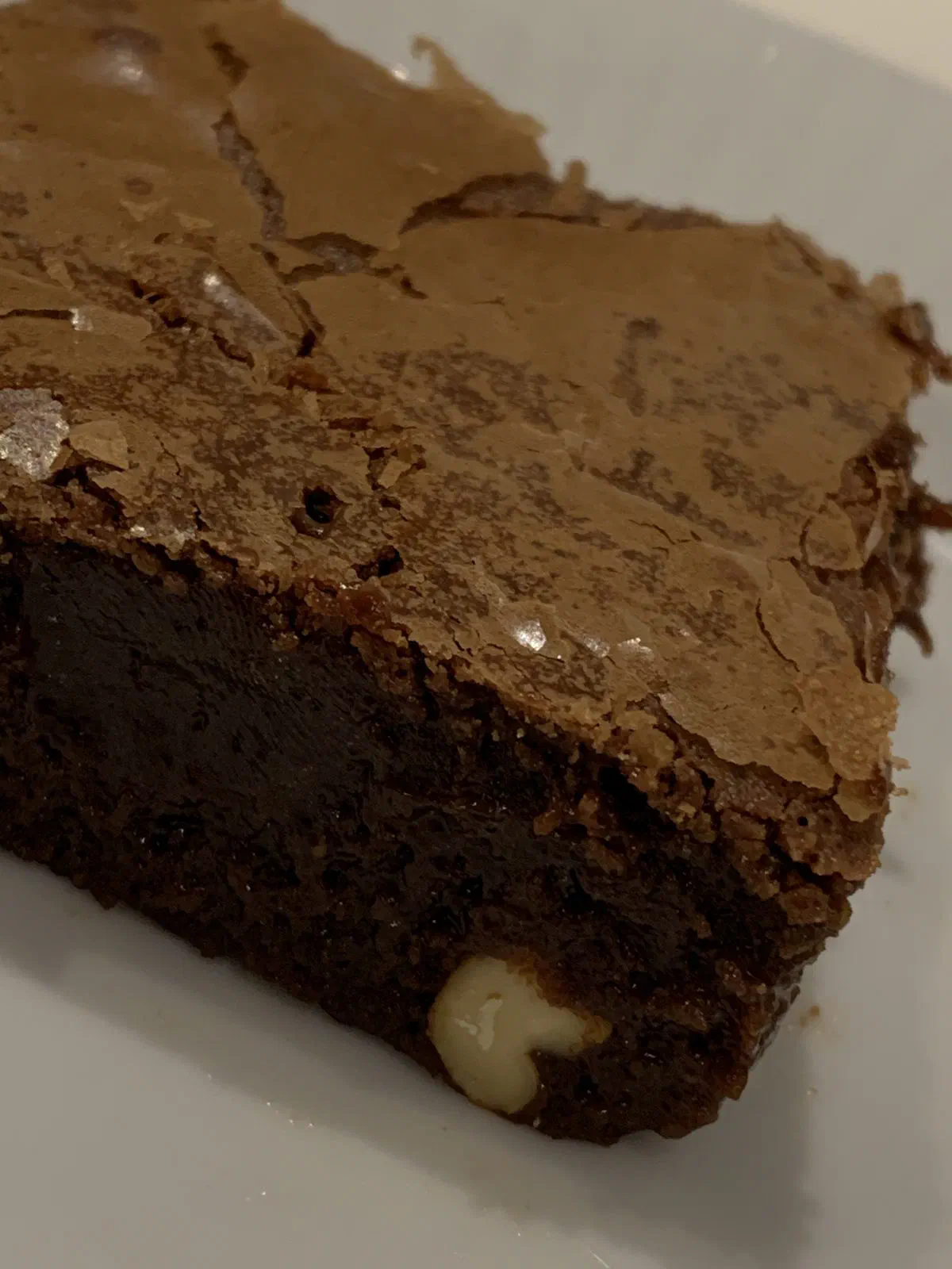 Brownie med saltede cashewnødder