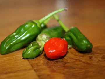 Chili con carne, billede 2