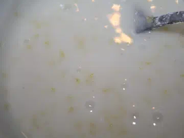 Citronfuldmåne a la Blomsterberg, billede 2