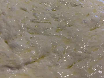 Foccasia med flagesalt og rosenmarin, billede 3