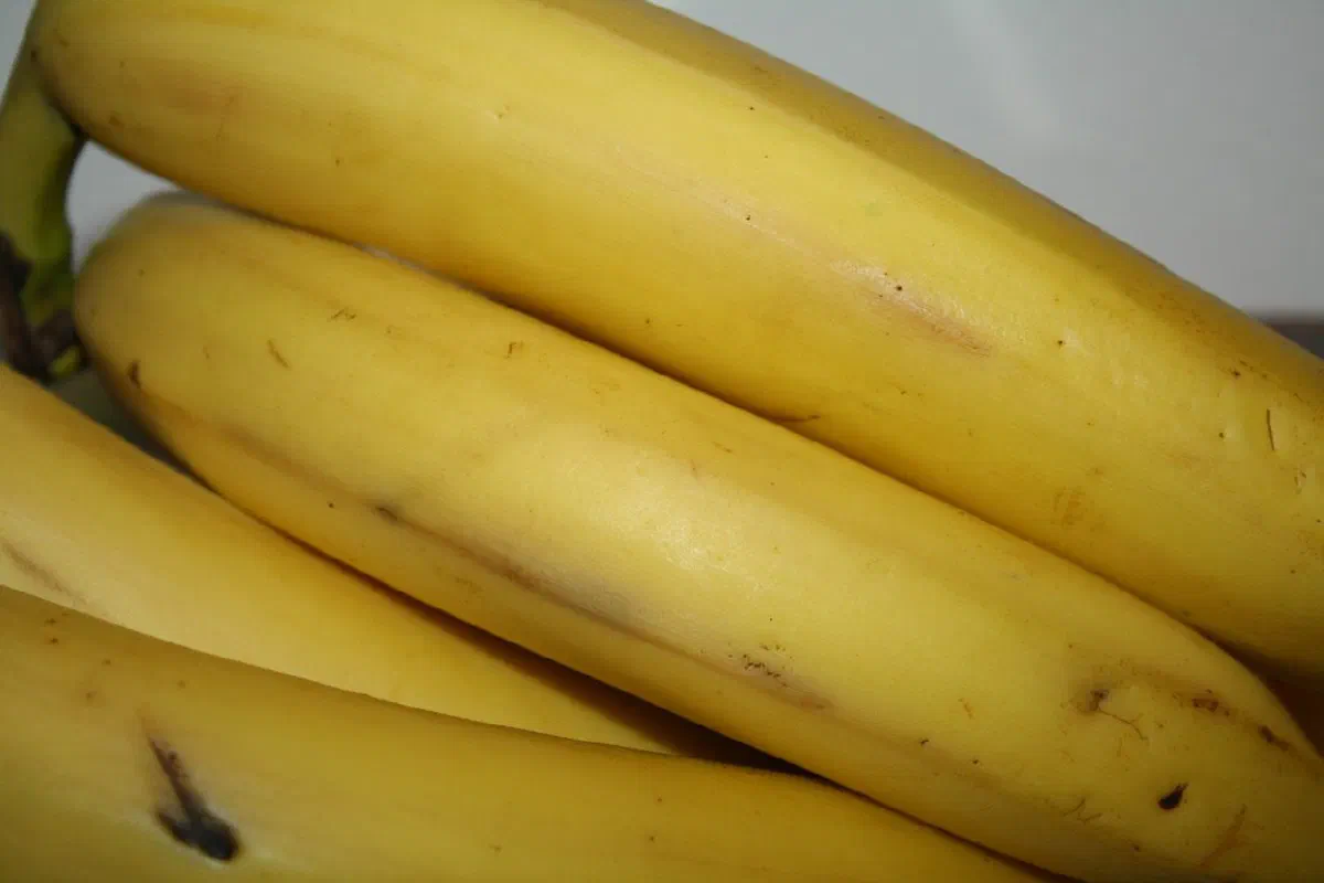 Lagkage med bananer og tobleronecreme