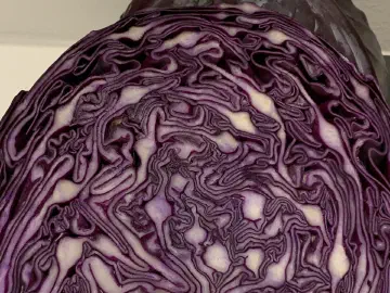 Rødkålssalat med appelsin, billede 3