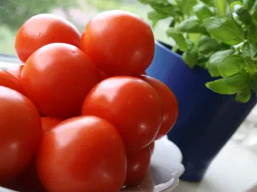 Tomatsuppe, billede 2